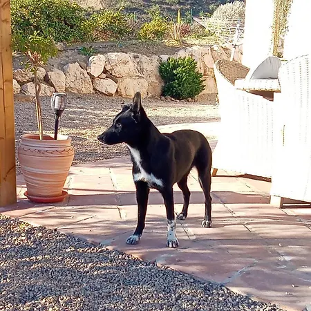 Frühstückspension Casa Lima 3*