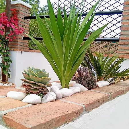 Casa Lima 3*